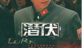 国产谍战电视剧,国产谍战剧中的智慧与忠诚