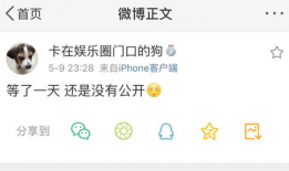 有没有吃瓜的爆料群,网络舆论背后的真相与争议